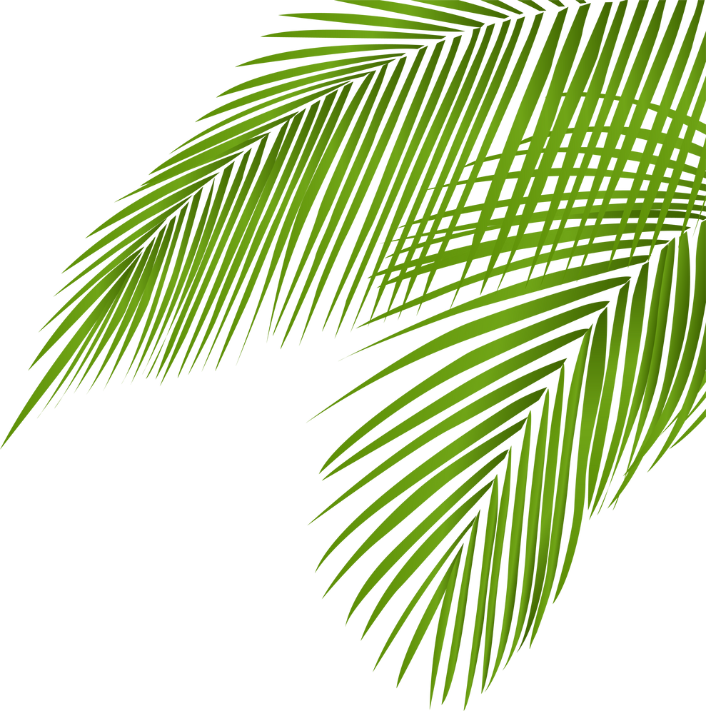 Summer coconut palm tree leaf coner decoration